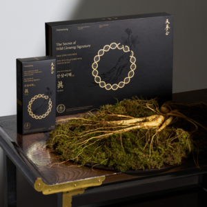 산삼비책진 더 블랙 Wild Ginseng the Black